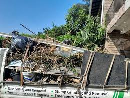 Best Hoarding Cleanup  in Madison, NJ